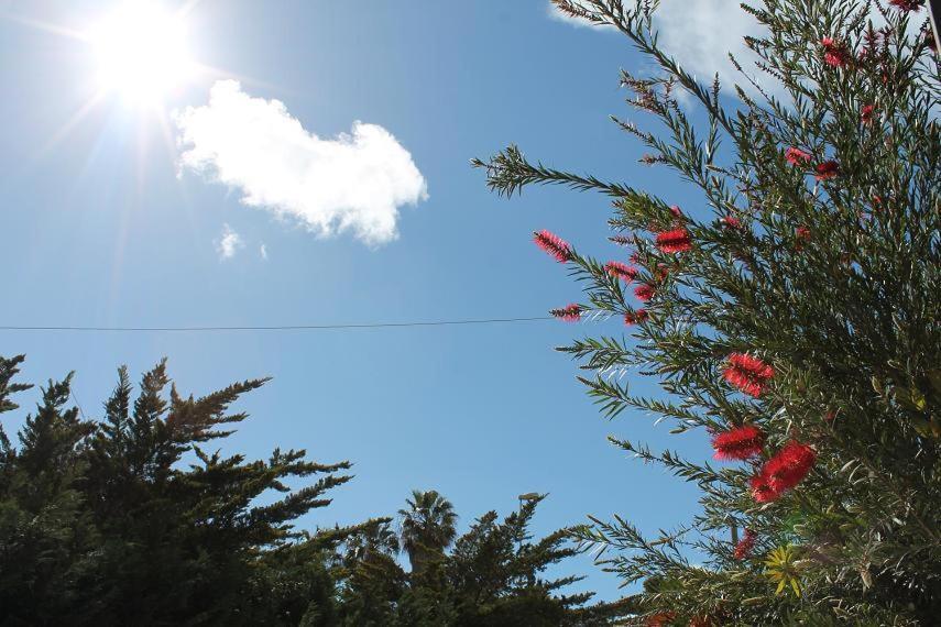 Villetta Le Mimose Di Maggio In Baia Verde Il Monte Exterior foto